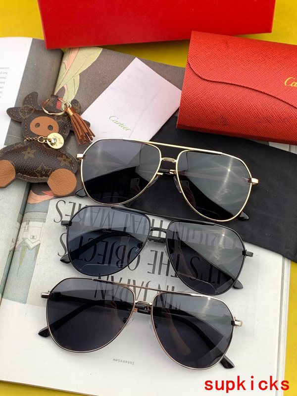 Lifestyle view of Cartier unisex sunglasses