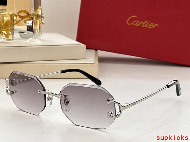 Front view of Cartier unisex sunglasses