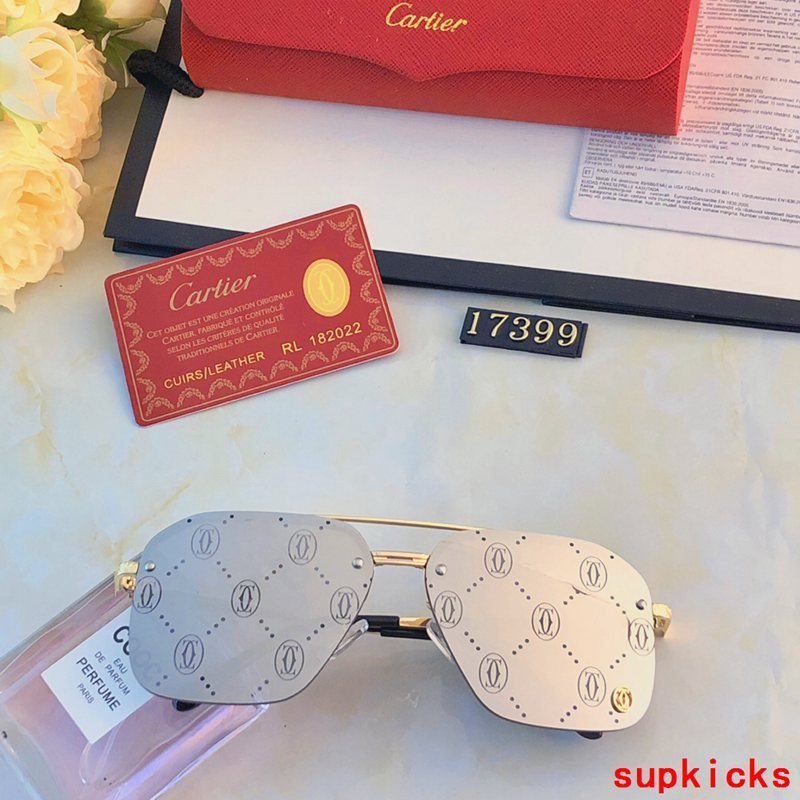 Close-up detail view of Cartier unisex sunglasses