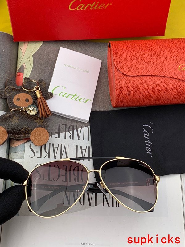 Lifestyle view of Cartier unisex sunglasses