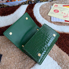Designer Iconic Top Handle Bag - Luxury Women's Premium Handbag - NM7105