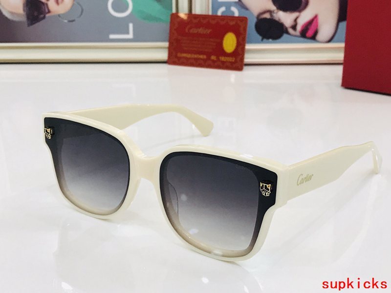 Lifestyle view of Cartier unisex sunglasses