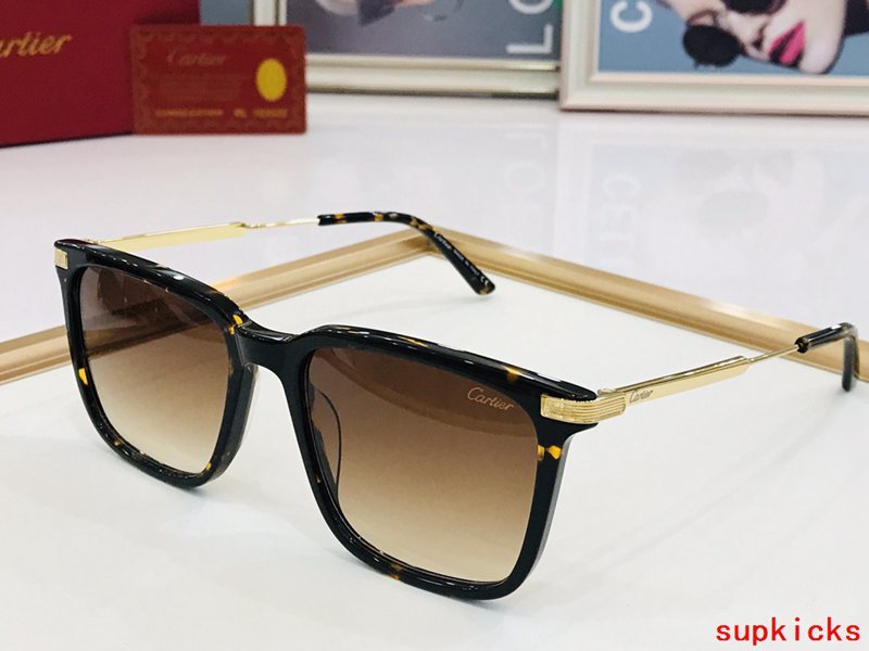 Full view of Cartier unisex sunglasses
