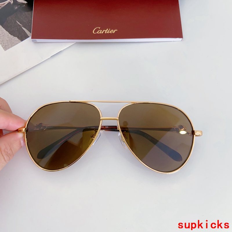 Full view of Cartier unisex sunglasses