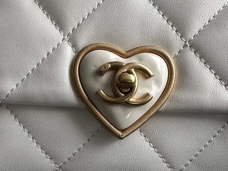 Zivas Charm Contemporary Flair Luxury Handbag (Thoughtfully Structured Design) – Styled Look
