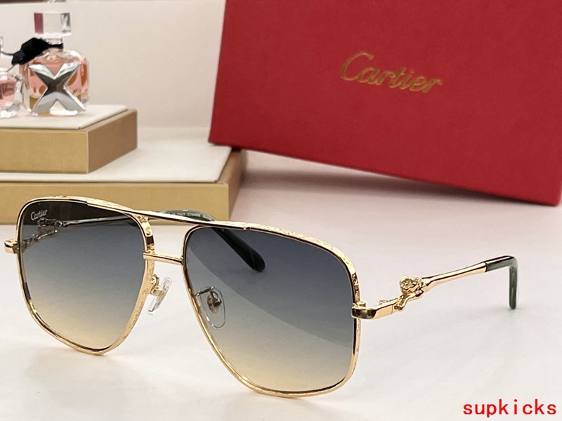 Lifestyle view of Cartier unisex sunglasses