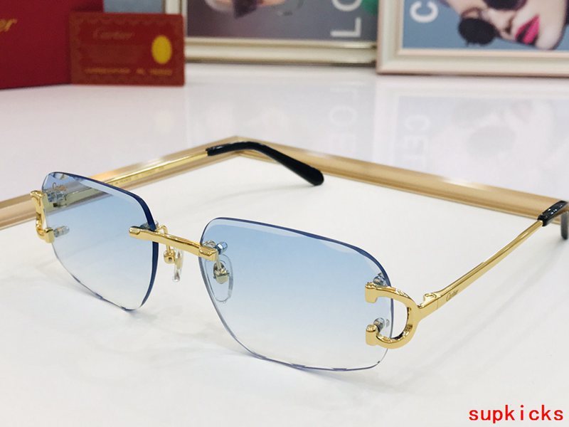 Lifestyle view of Cartier unisex sunglasses