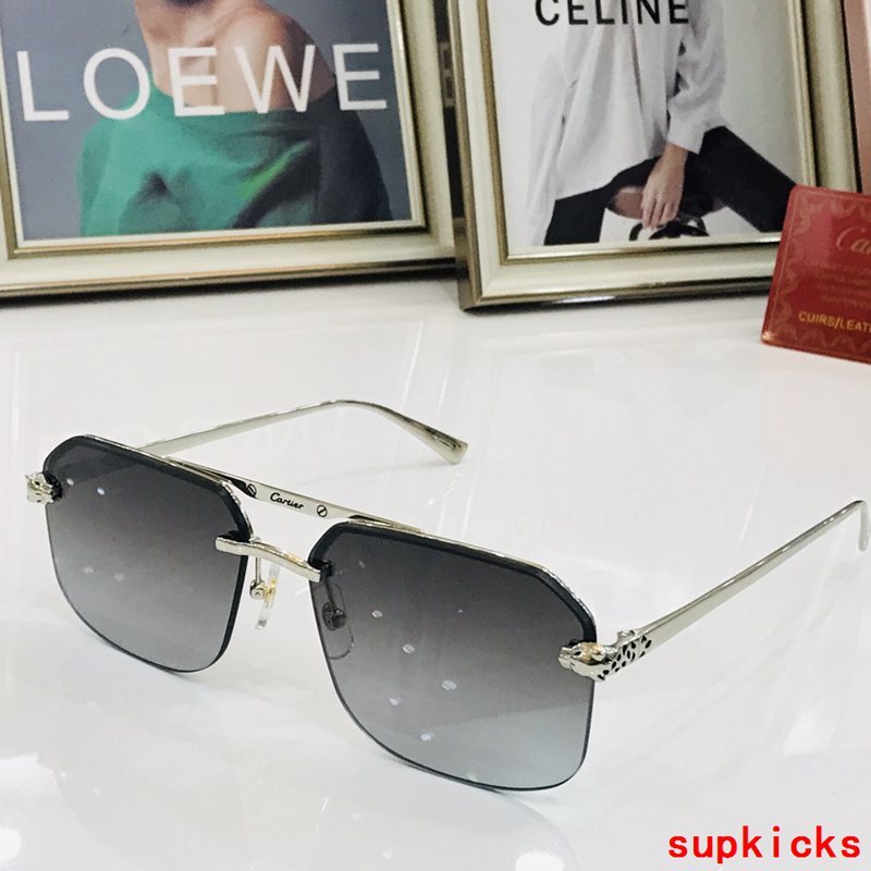 Full view of Cartier unisex sunglasses