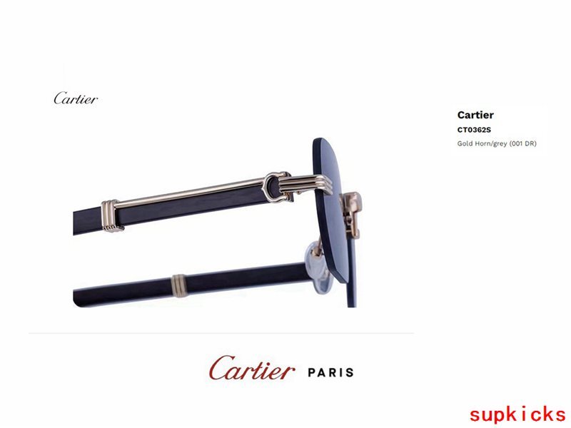 Close-up detail view of Cartier unisex sunglasses