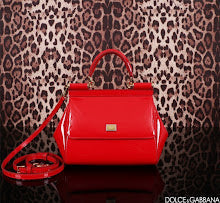 Designer Iconic Shoulder Bag - Luxury Women's Premium Fashion - NM6962