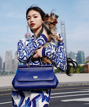 Luxury Designer Shoulder Bag for Women - Premium Fashion Handbag - NM7024