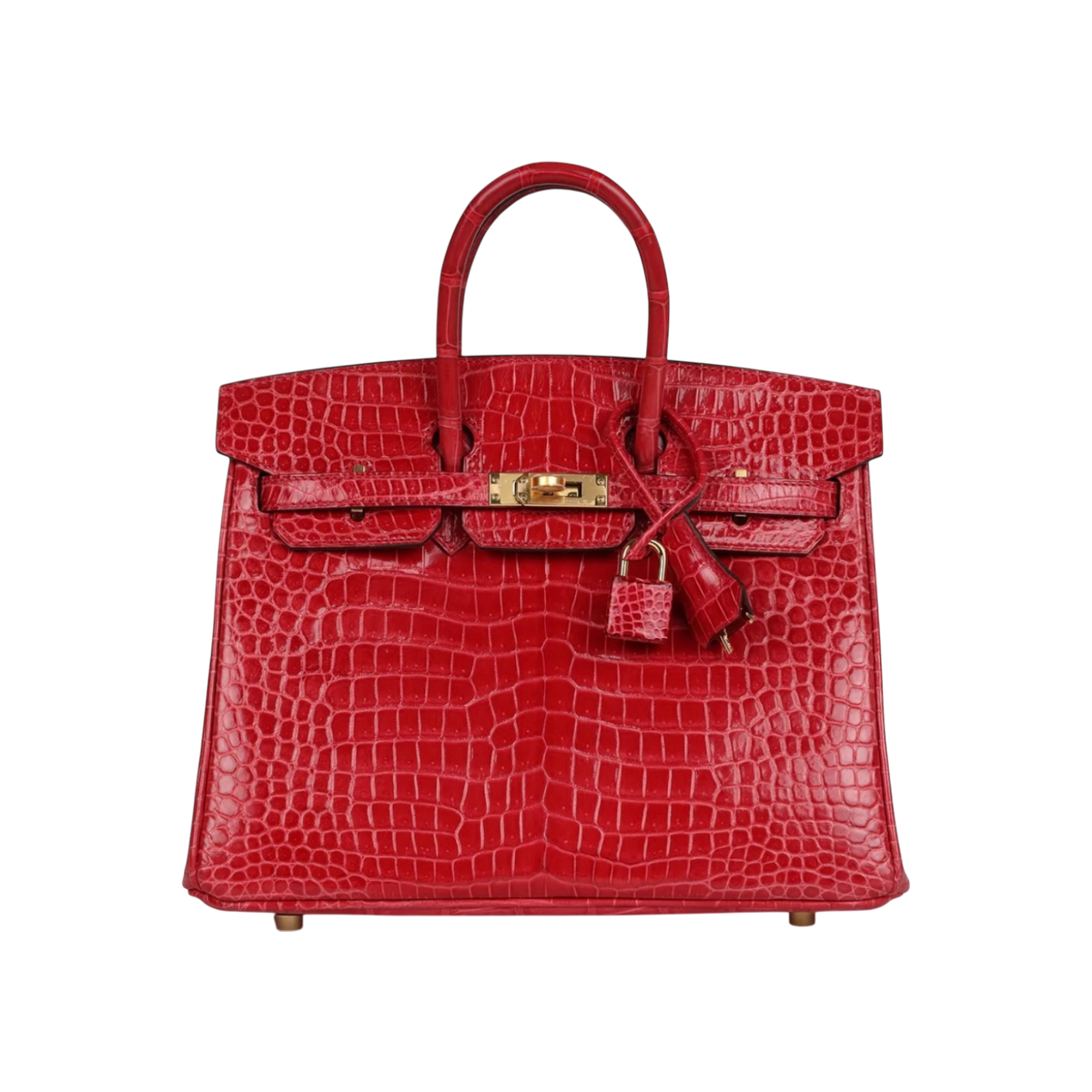 HermÃ¨s Birkin 25 Braise Porosus Crocodile Gold Hardware