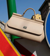 Luxury Designer Shoulder Bag for Women - Premium Fashion Handbag - NM7024