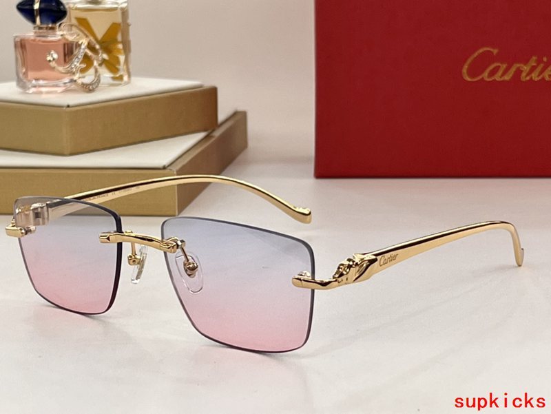 Front view of Cartier unisex sunglasses
