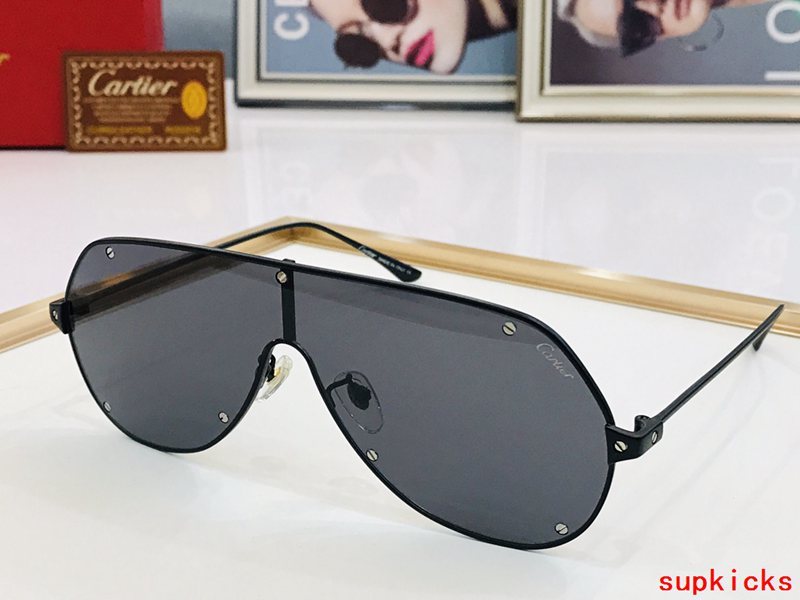 Front view of Cartier unisex sunglasses