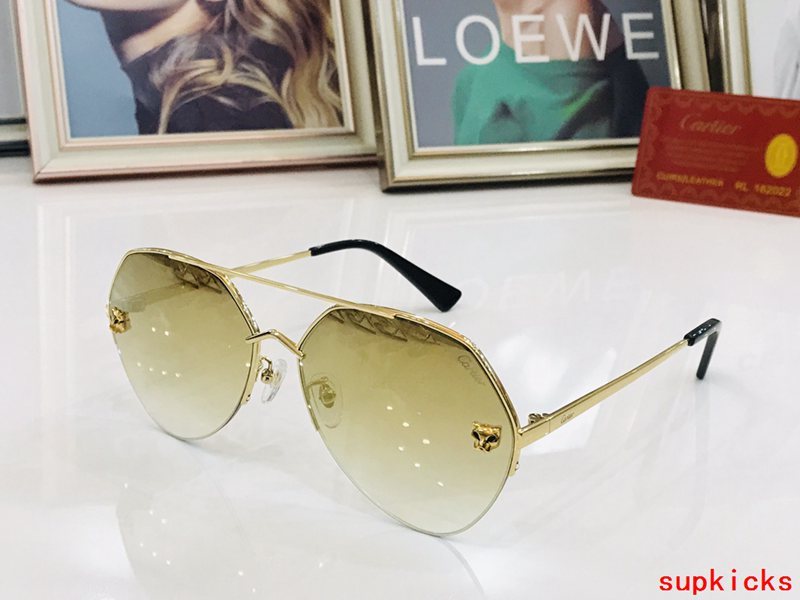 Front view of Cartier unisex sunglasses