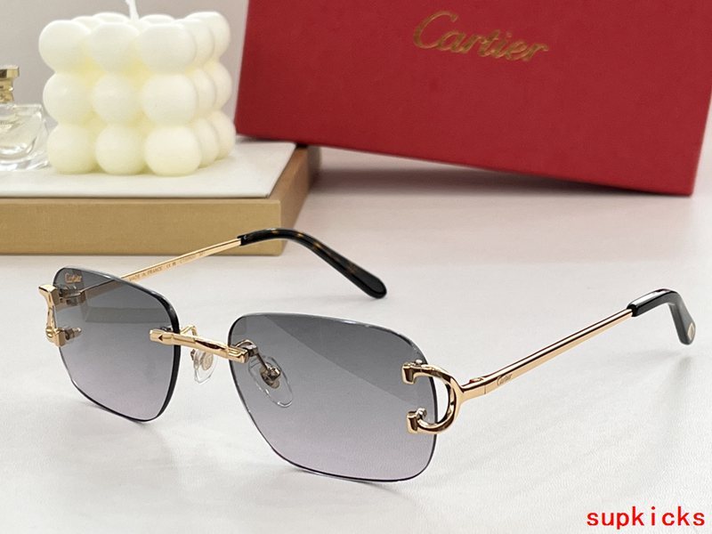 Lifestyle view of Cartier unisex sunglasses