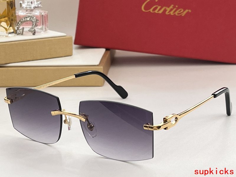Close-up detail view of Cartier unisex sunglasses
