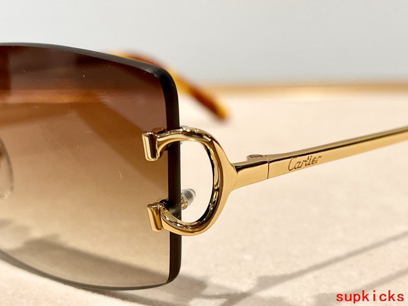 Front view of Cartier unisex sunglasses