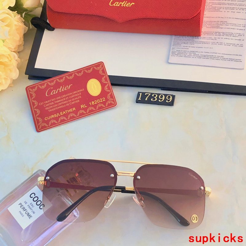 Full view of Cartier unisex sunglasses