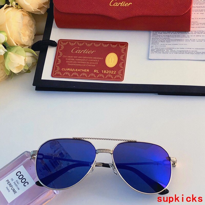 Side view of Cartier unisex sunglasses