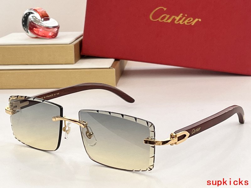 Close-up detail view of Cartier unisex sunglasses