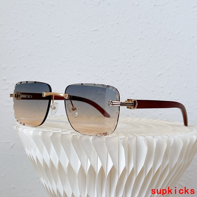 Front view of Cartier unisex sunglasses