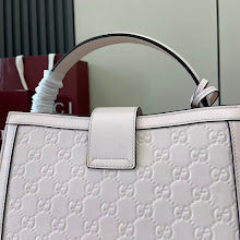 Luxury Designer Crossbody Bag for Women - Premium Fashion Handbag - NM3830