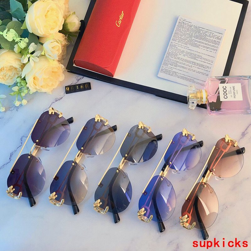 Side view of Cartier unisex sunglasses