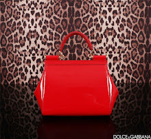 Designer Iconic Shoulder Bag - Luxury Women's Premium Fashion - NM6962
