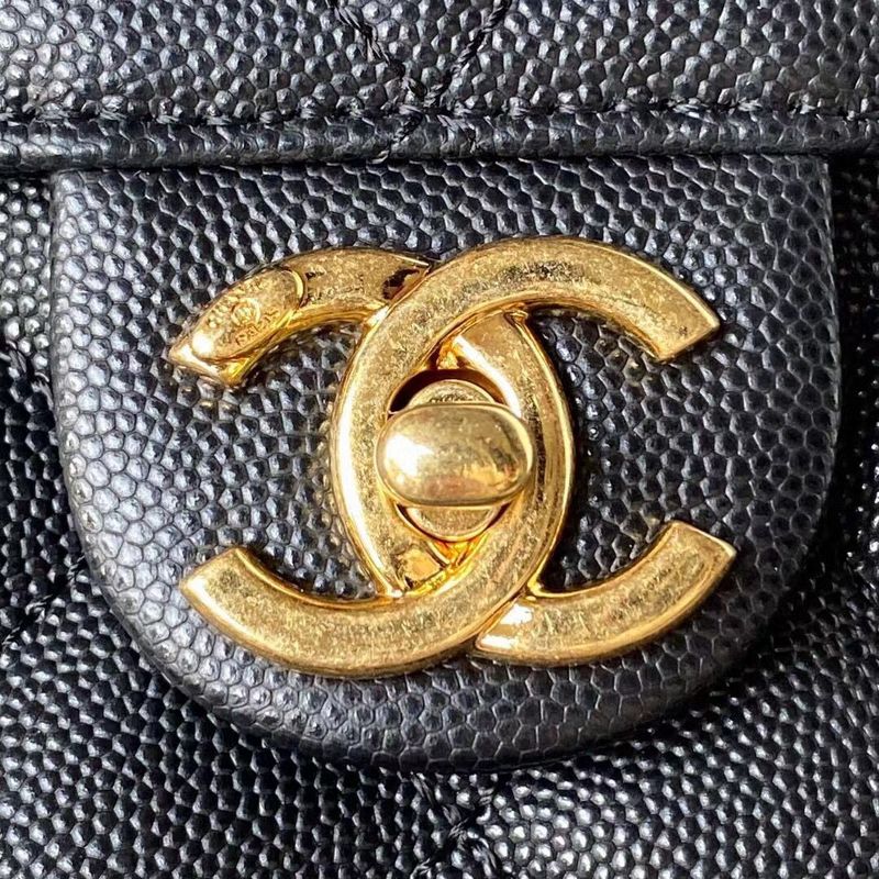 Zivas Charm Signature Style Designer Handbag (Elevated Daily Companion) – Close-Up Detail