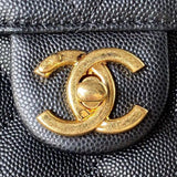 Zivas Charm Signature Style Designer Handbag (Elevated Daily Companion) – Close-Up Detail