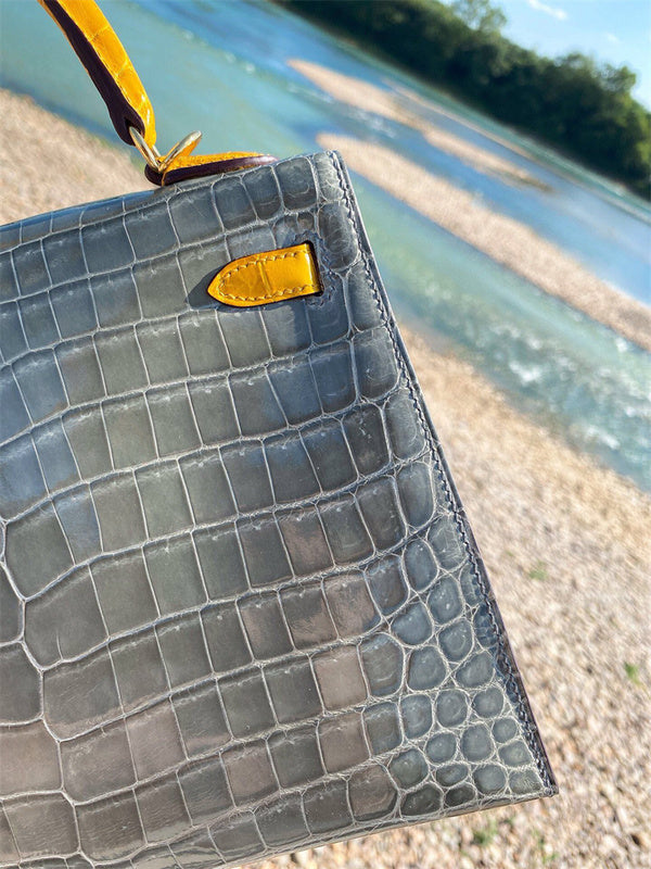  everyday bag interior and compartment view