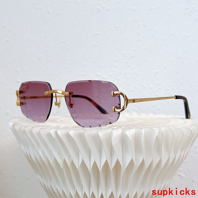 Close-up detail view of Cartier unisex sunglasses