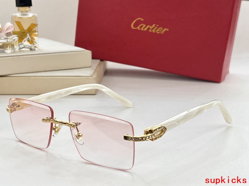 Full view of Cartier unisex sunglasses