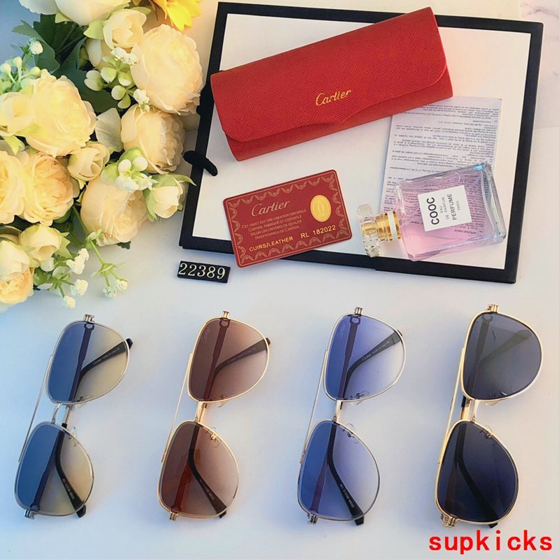 Front view of Cartier unisex sunglasses