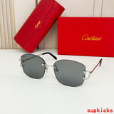 Close-up detail view of Cartier unisex sunglasses