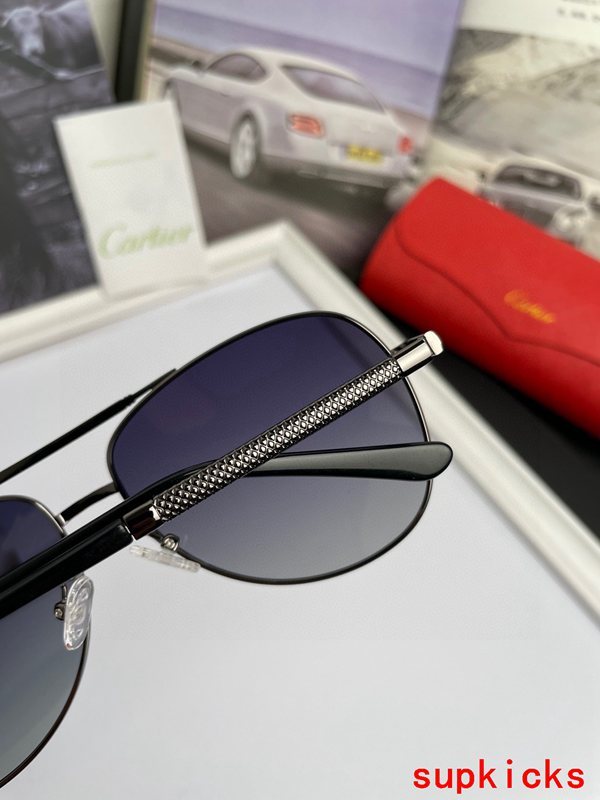 Lifestyle view of Cartier unisex sunglasses