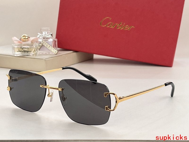 Lifestyle view of Cartier unisex sunglasses