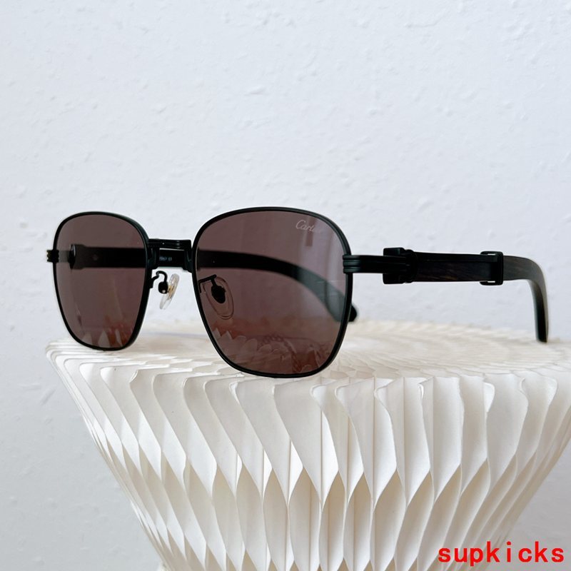 Front view of Cartier unisex sunglasses
