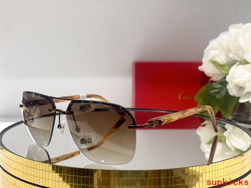 Lifestyle view of Cartier unisex sunglasses