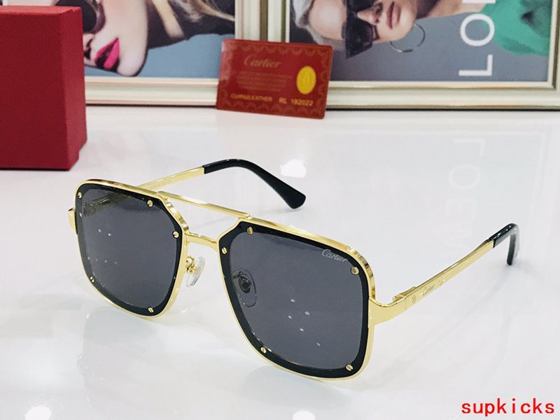 Full view of Cartier unisex sunglasses