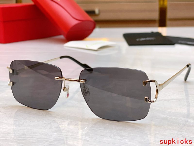 Close-up detail view of Cartier unisex sunglasses