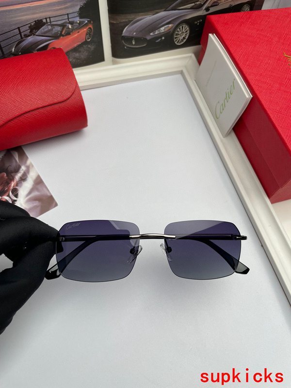 Close-up detail view of Cartier unisex sunglasses