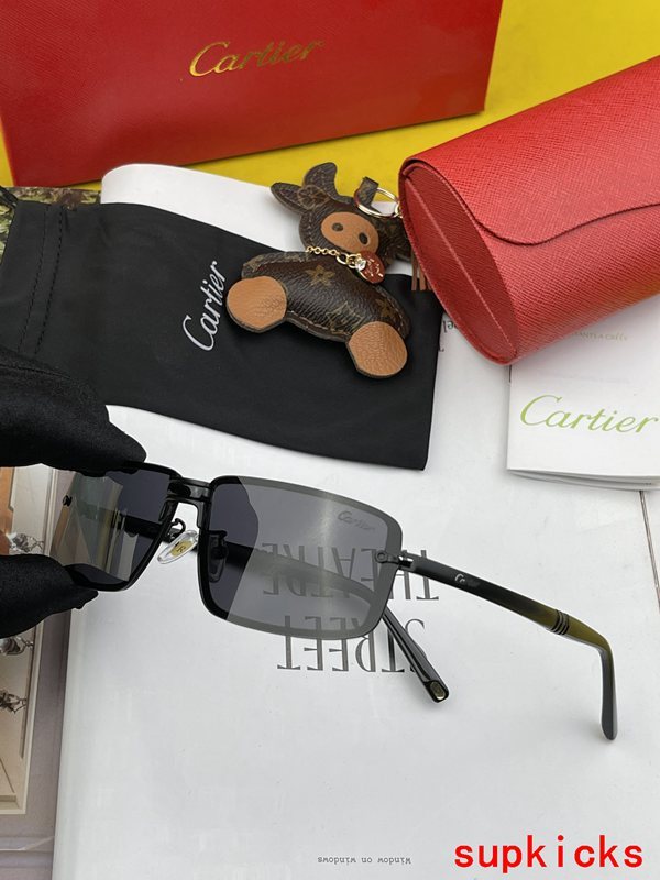 Front view of Cartier unisex sunglasses