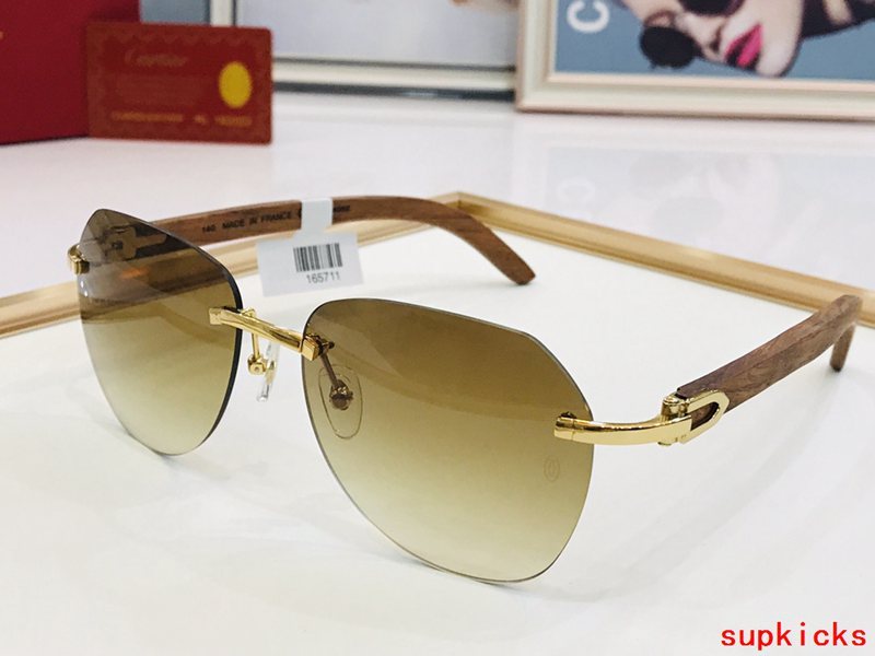 Close-up detail view of Cartier unisex sunglasses