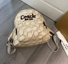 New Luxury Iconic Crossbody Bag - Women's Elegant Designer Fashion - NM6300