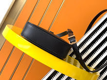 Luxury Designer Crossbody Bag for Women - Premium Fashion Handbag - NM3298