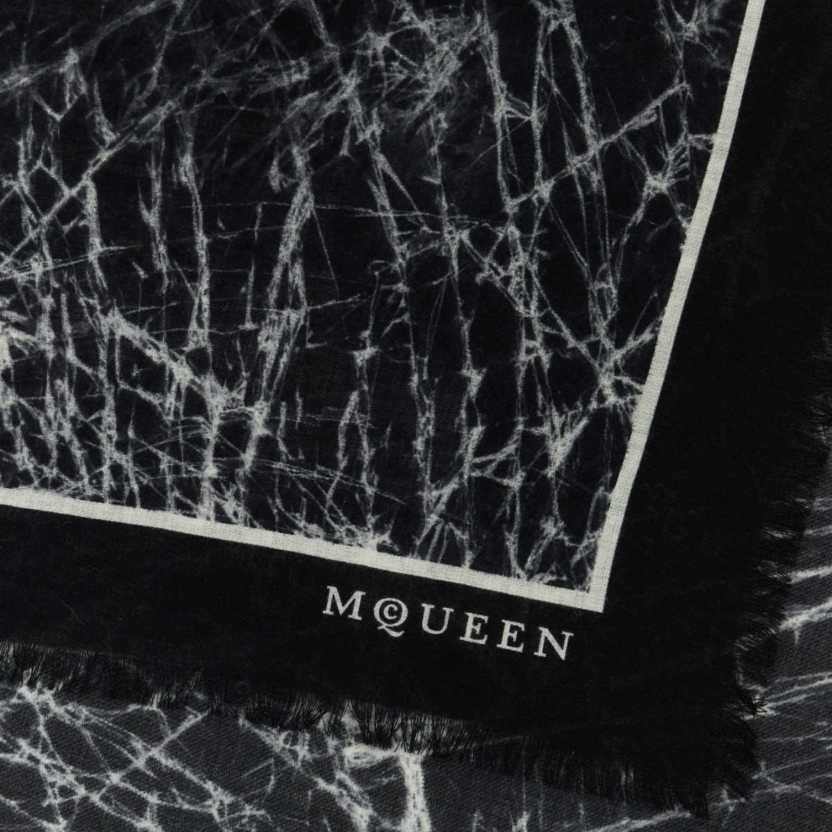 Alexander McQueen Scarves? Alexander Mcqueen Women Printed Wool Scarf Luxury Designer Silk Scarf