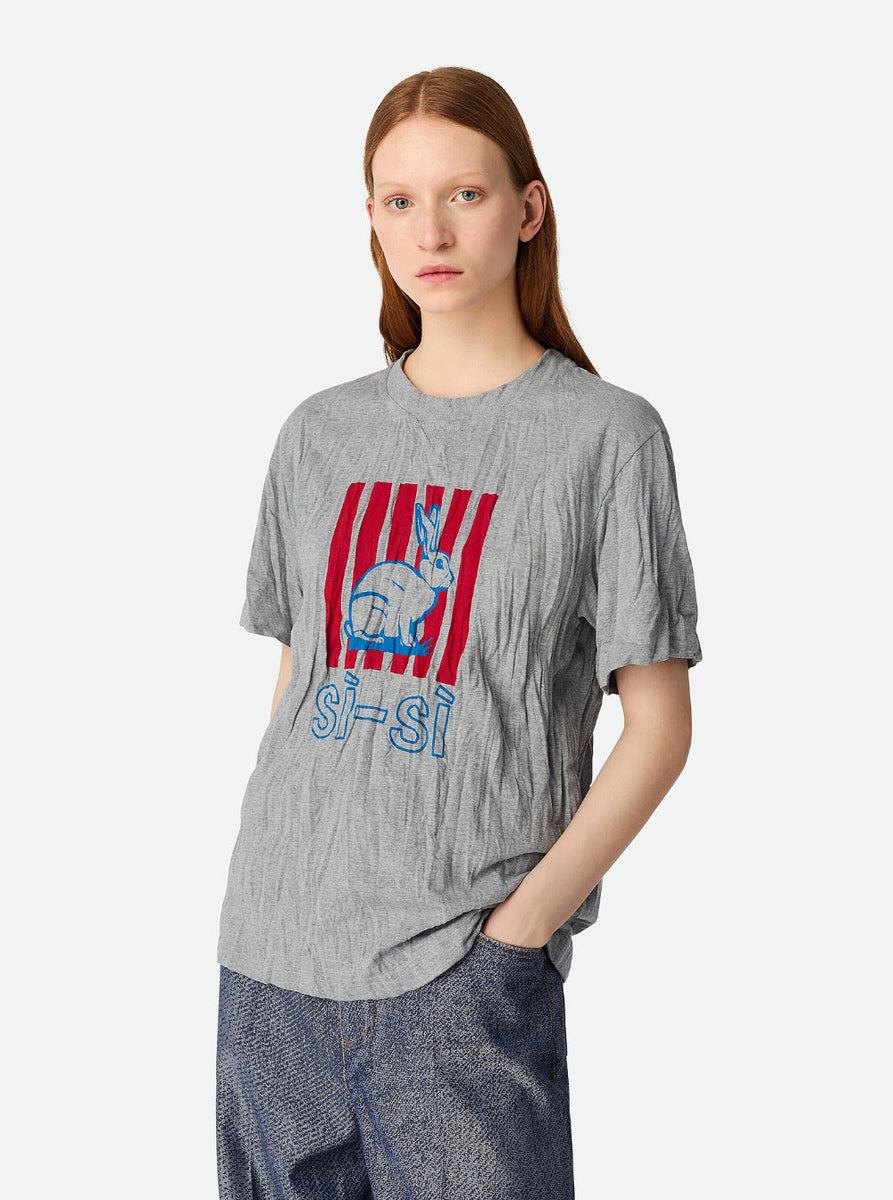 Bottega Veneta T-Shirts? Bottega Veneta Women Grey Crewneck T-Shirt With Maxi Print On The Front And Wrinkled Ffect In Cotton Woman Premium Designer Cotton T-Shirt